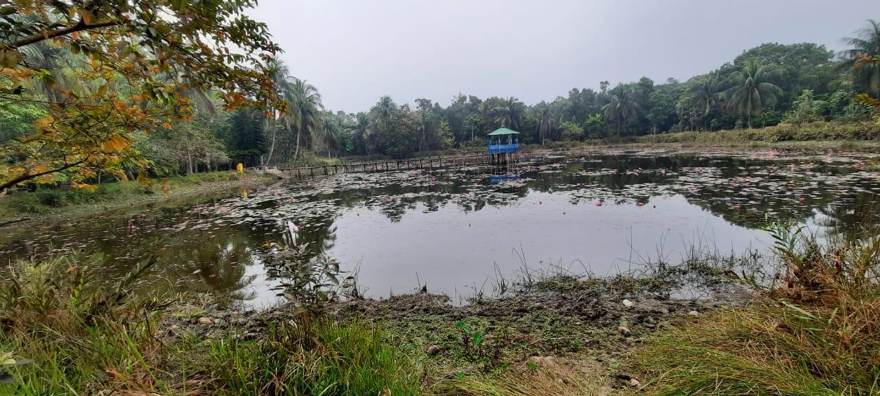 অরণ্যের গহীনে